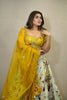 PASTEL GREEN & YELLOW EMBROIDERED LEHENGA