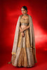 SILVER & GOLD TISSUE LEHENGA