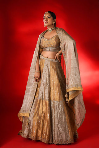 SILVER & GOLD TISSUE LEHENGA