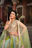 PISTA GREEN BANARASI SILK LEHENGA