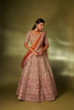 APRICOT ORANGE NET LEHENGA