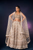 TAN COLOR NET LEHENGA