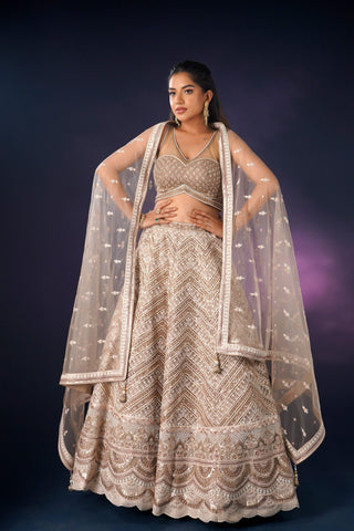 TAN COLOR NET LEHENGA