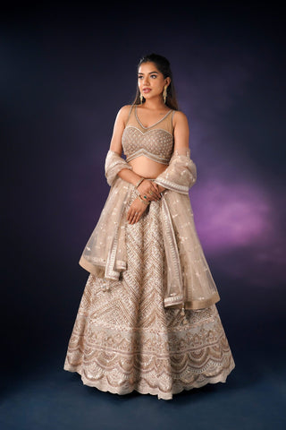 TAN COLOR NET LEHENGA