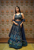 MIDNIGHT BLUE LEHENGA WITH PRINTED PEACOCKS & MOTIFS