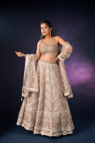 TAN COLOR NET LEHENGA