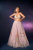 PALE PINK NET LEHENGA