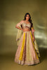 MULTI COLOR TISSUE LEHENGA