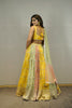 MULTI COLOUR TISSUE PANELED LEHENGA