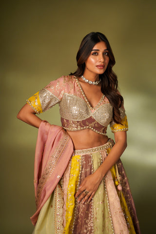 MULTI COLOR TISSUE LEHENGA