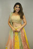 MULTI COLOUR TISSUE PANELED LEHENGA