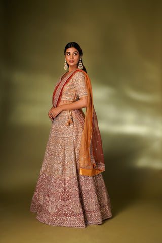 APRICOT ORANGE NET LEHENGA