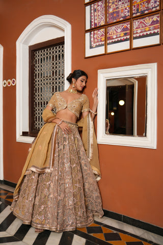 GOLDEN EMBROIDERED NET LEHENGA