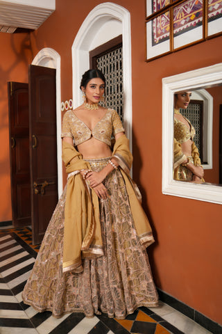 GOLDEN EMBROIDERED NET LEHENGA