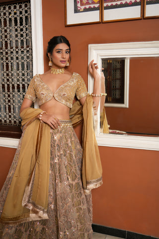 GOLDEN EMBROIDERED NET LEHENGA