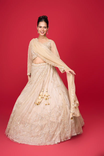 NUDE GLASS TISSUE LEHENGA
