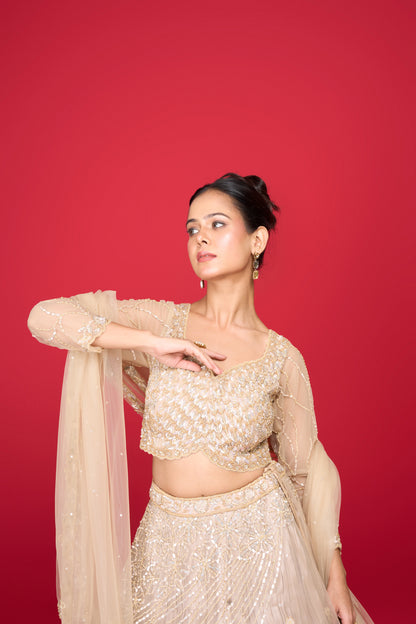 NUDE GLASS TISSUE LEHENGA