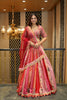 PINK & RED MULTI KALI LEHENGA