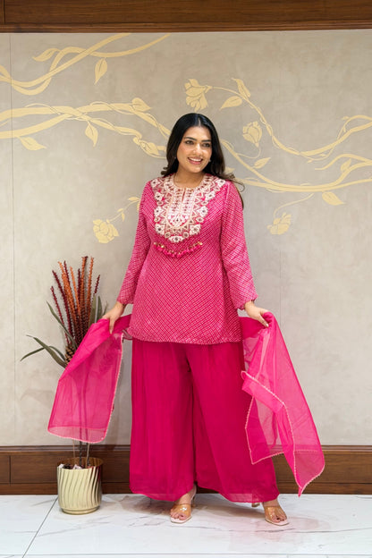 Rani Pink Noor Indo-Western – Chiffon Silk
