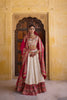 DAISY WHITE & PINK DOUBLE LAYER DOLA SILK LEHENGA